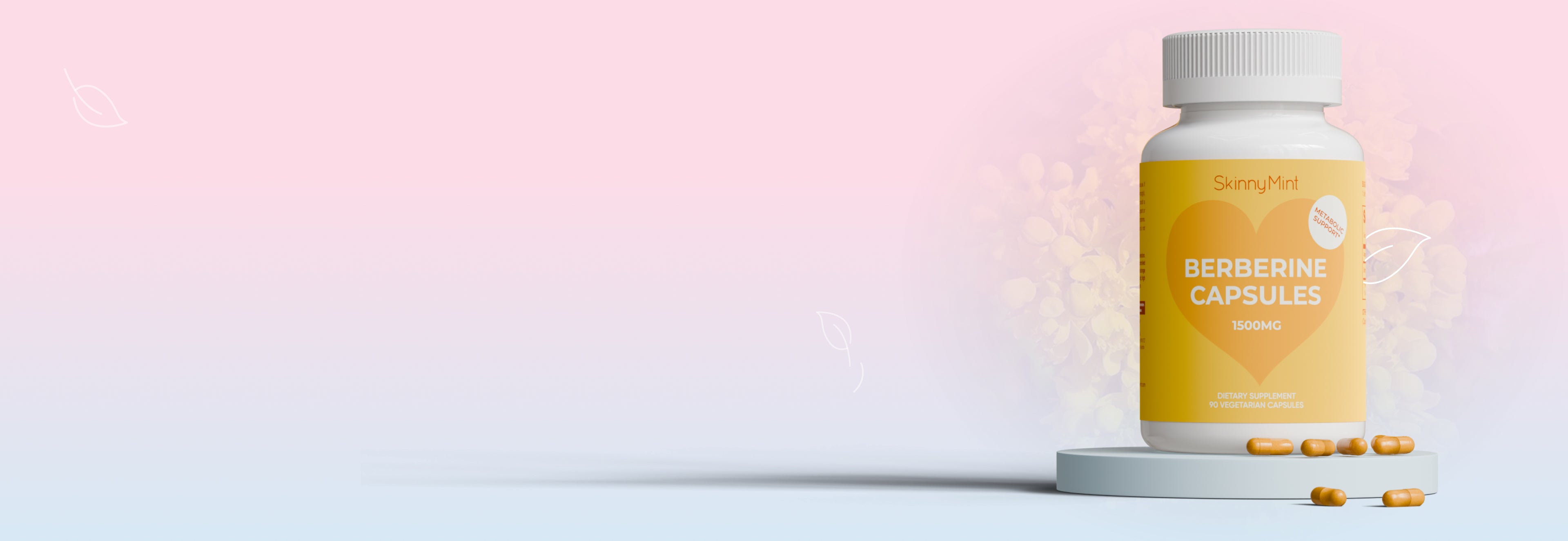 Homepage Hero Banner – Desktop (no text)