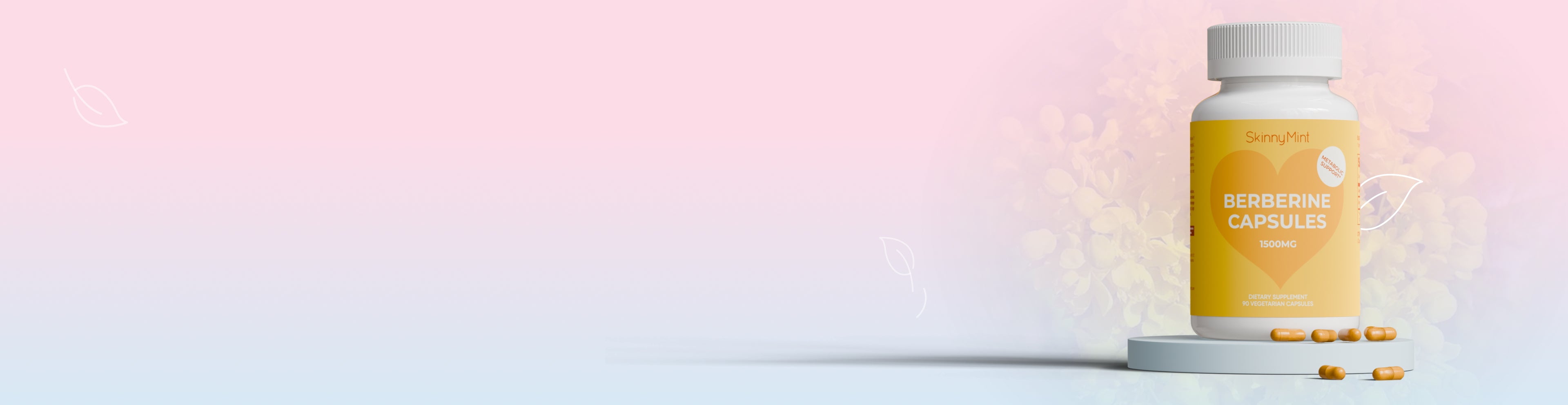 Collection Banner – Desktop (no text)